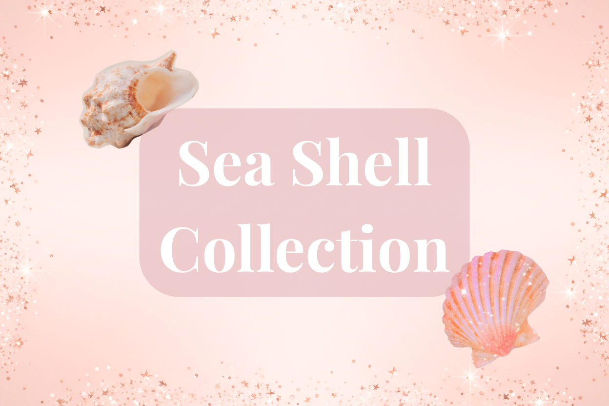 Shell Jewellery