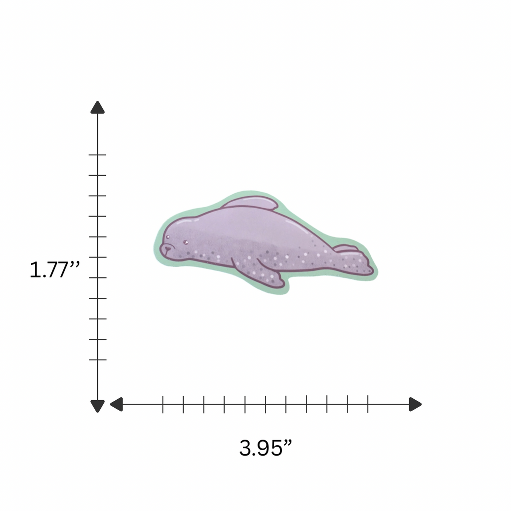 Kawaii Seal Sticker | Matte Vinyl | Laptop Sticker | Cute Ocean Sticker