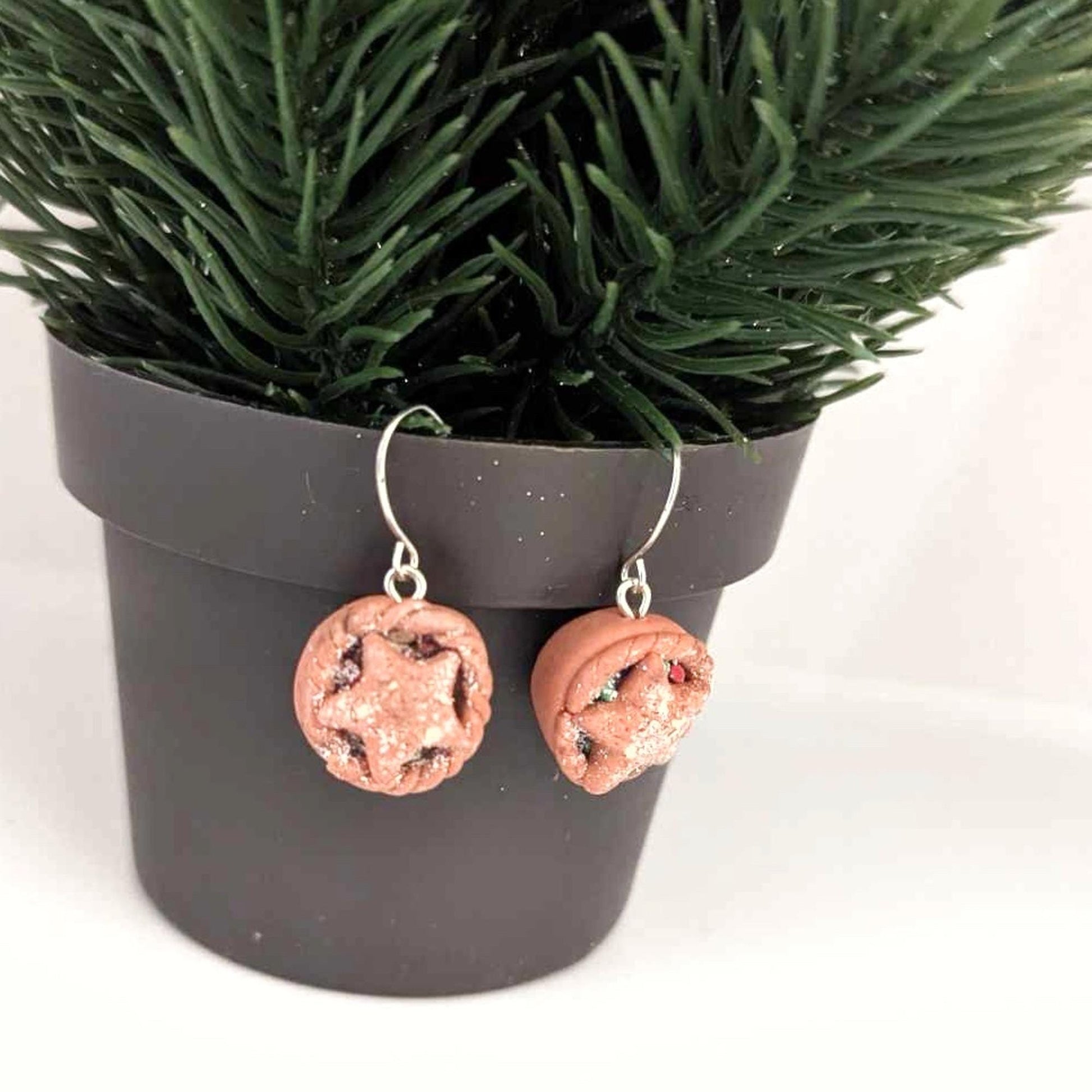 Silver coloured earrings hanging from a pot with greenery
