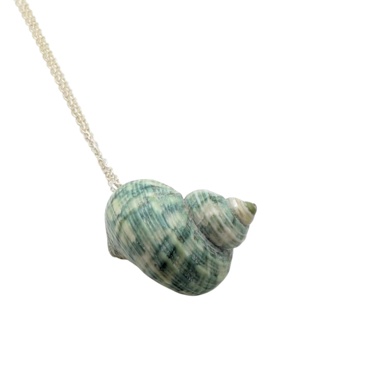 Green Turban Shell Necklace | Real Natural Shell Pendant | Handmade Coastal Jewellery