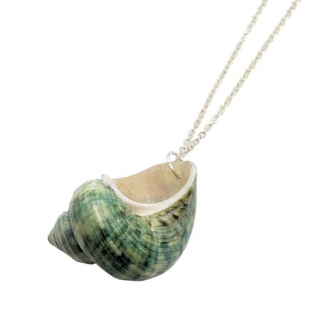 Green Turban Shell Necklace | Real Natural Shell Pendant | Handmade Coastal Jewellery