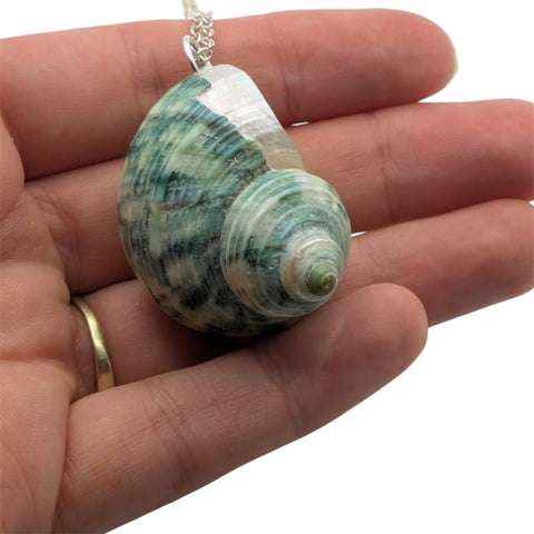 Green Turban Shell Necklace | Real Natural Shell Pendant | Handmade Coastal Jewellery