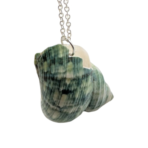 Green Turban Shell Necklace | Real Natural Shell Pendant | Handmade Coastal Jewellery
