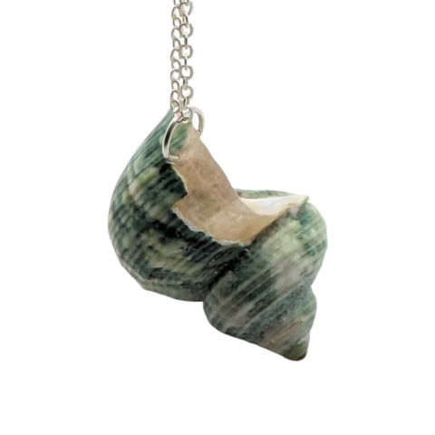 Green Turban Shell Necklace | Real Natural Shell Pendant | Handmade Coastal Jewellery