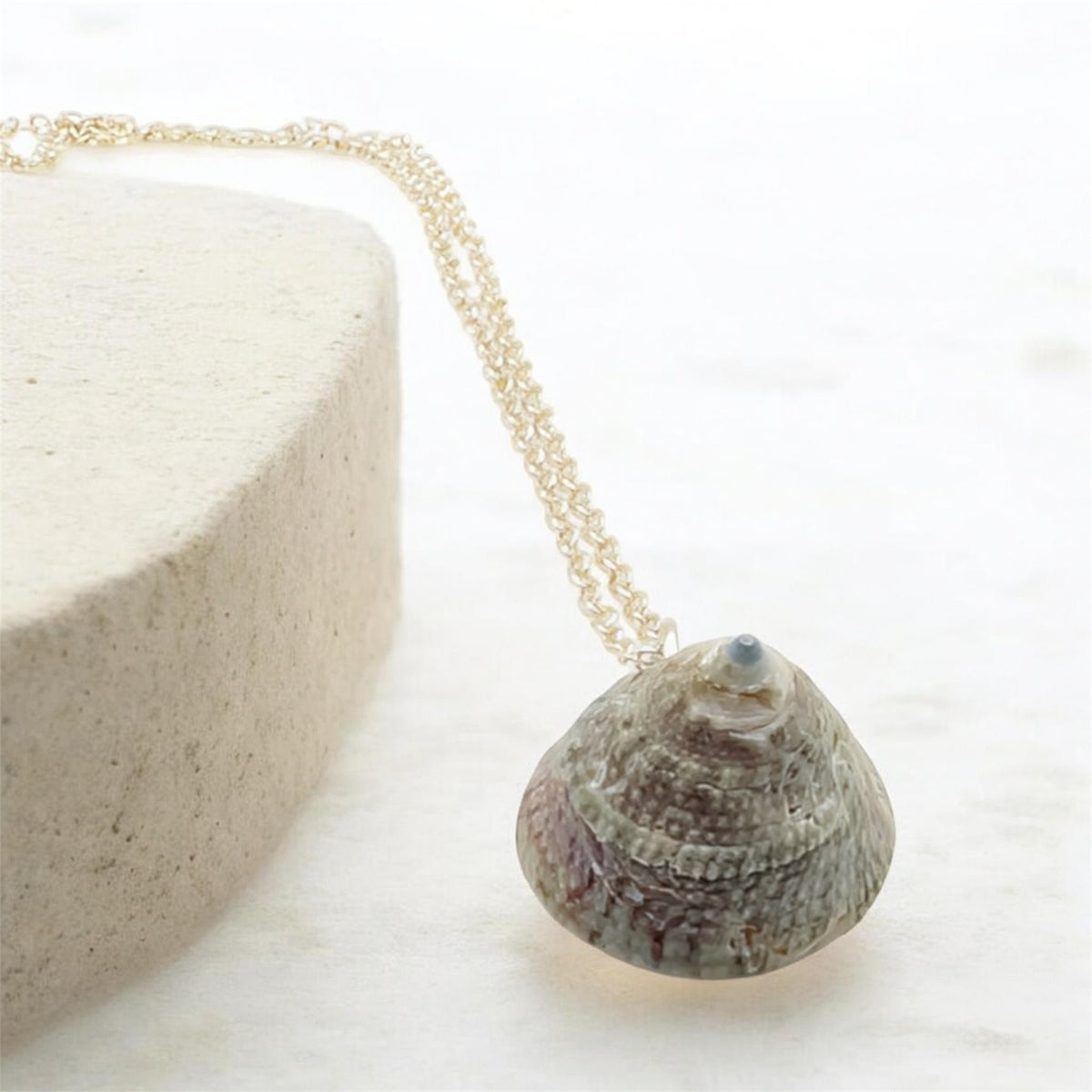 Turban Snail Shell Necklace | Real Natural Shell Pendant | Handmade Coastal Jewellery