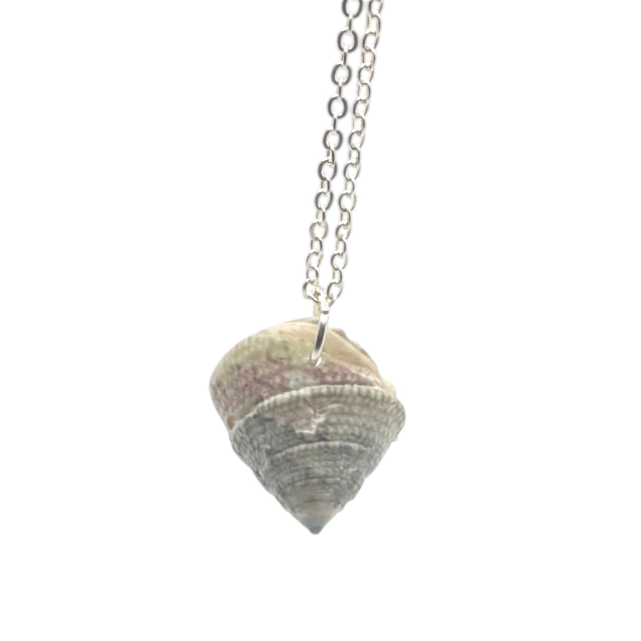 Turban Snail Shell Necklace | Real Natural Shell Pendant | Handmade Coastal Jewellery
