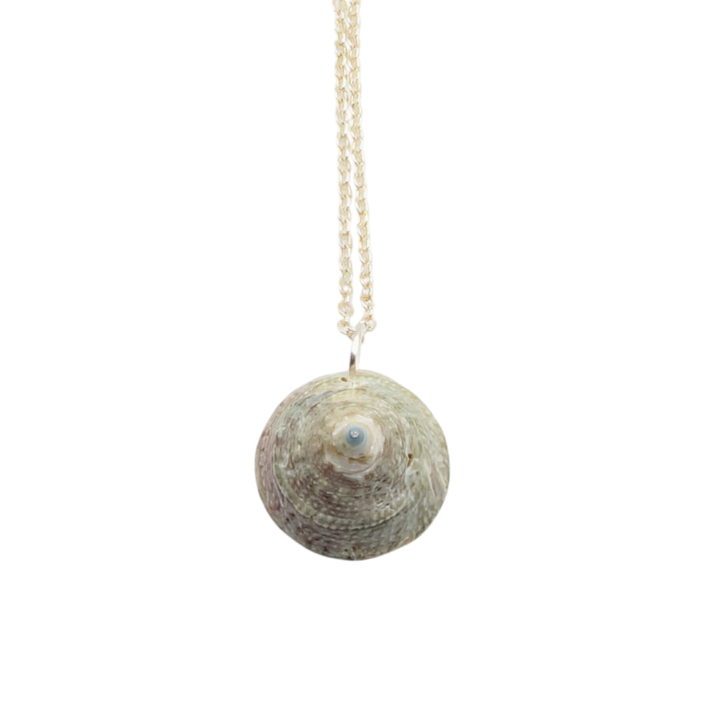 Turban Snail Shell Necklace | Real Natural Shell Pendant | Handmade Coastal Jewellery