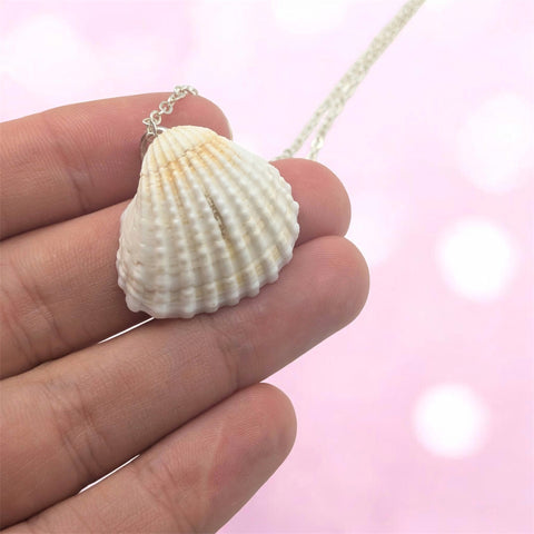 White Cockle Shell Necklace | Real Natural Shell Pendant | Handmade Coastal Jewellery