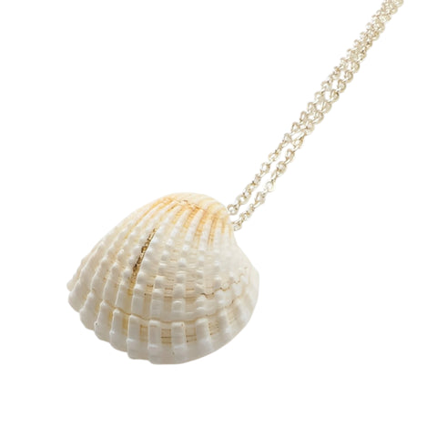 White Cockle Shell Necklace | Real Natural Shell Pendant | Handmade Coastal Jewellery