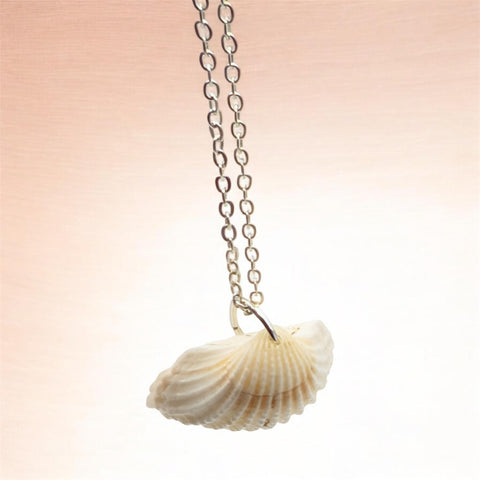 White Cockle Shell Necklace | Real Natural Shell Pendant | Handmade Coastal Jewellery