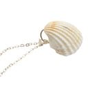 White Cockle Shell Necklace | Real Natural Shell Pendant | Handmade Coastal Jewellery