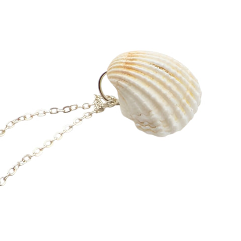 White Cockle Shell Necklace | Real Natural Shell Pendant | Handmade Coastal Jewellery