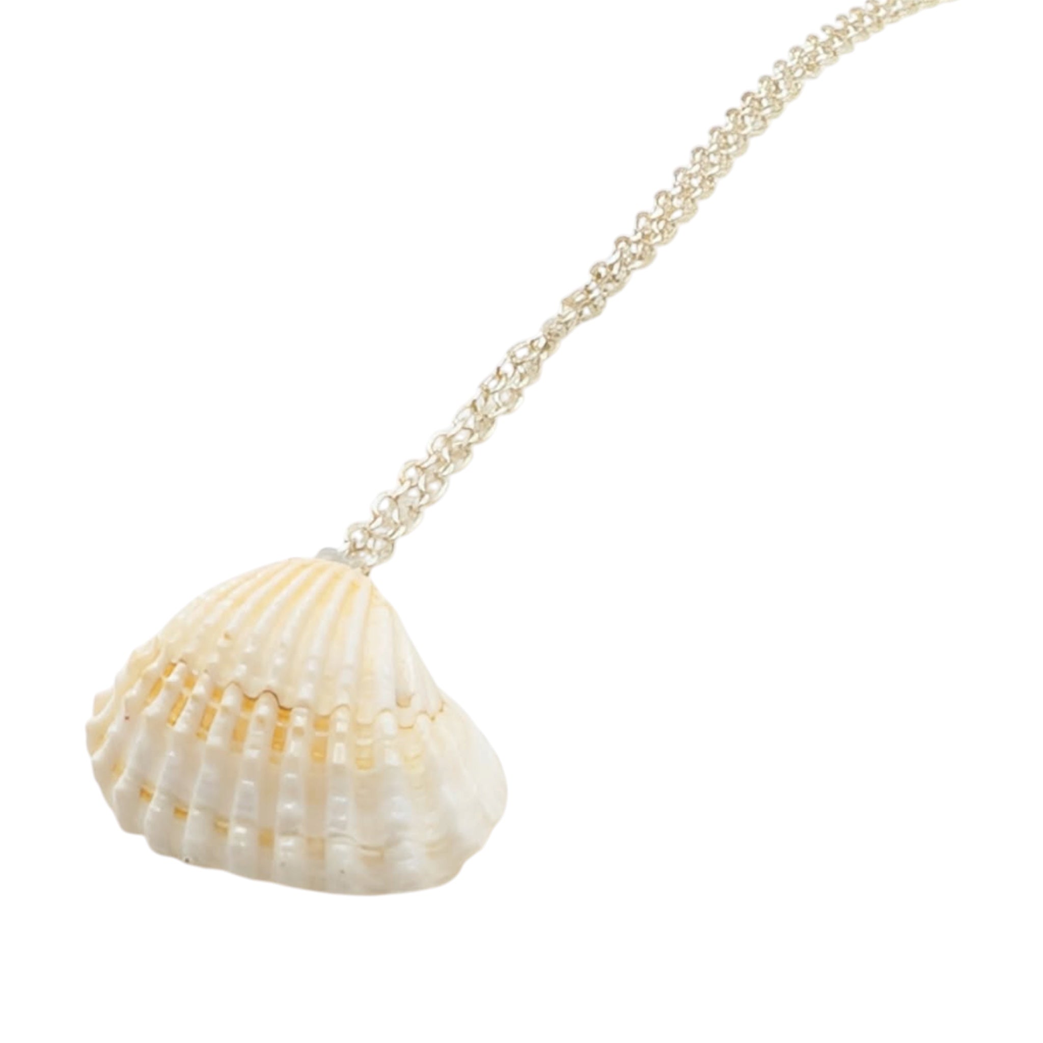 Cream and yellow shell pendant on a silver chain against a white background