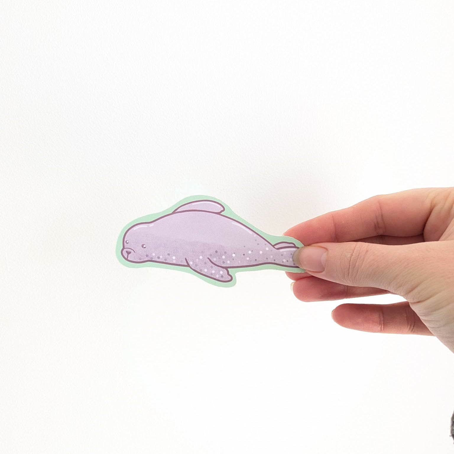 Kawaii Seal Sticker | Matte Vinyl | Laptop Sticker | Cute Ocean Sticker