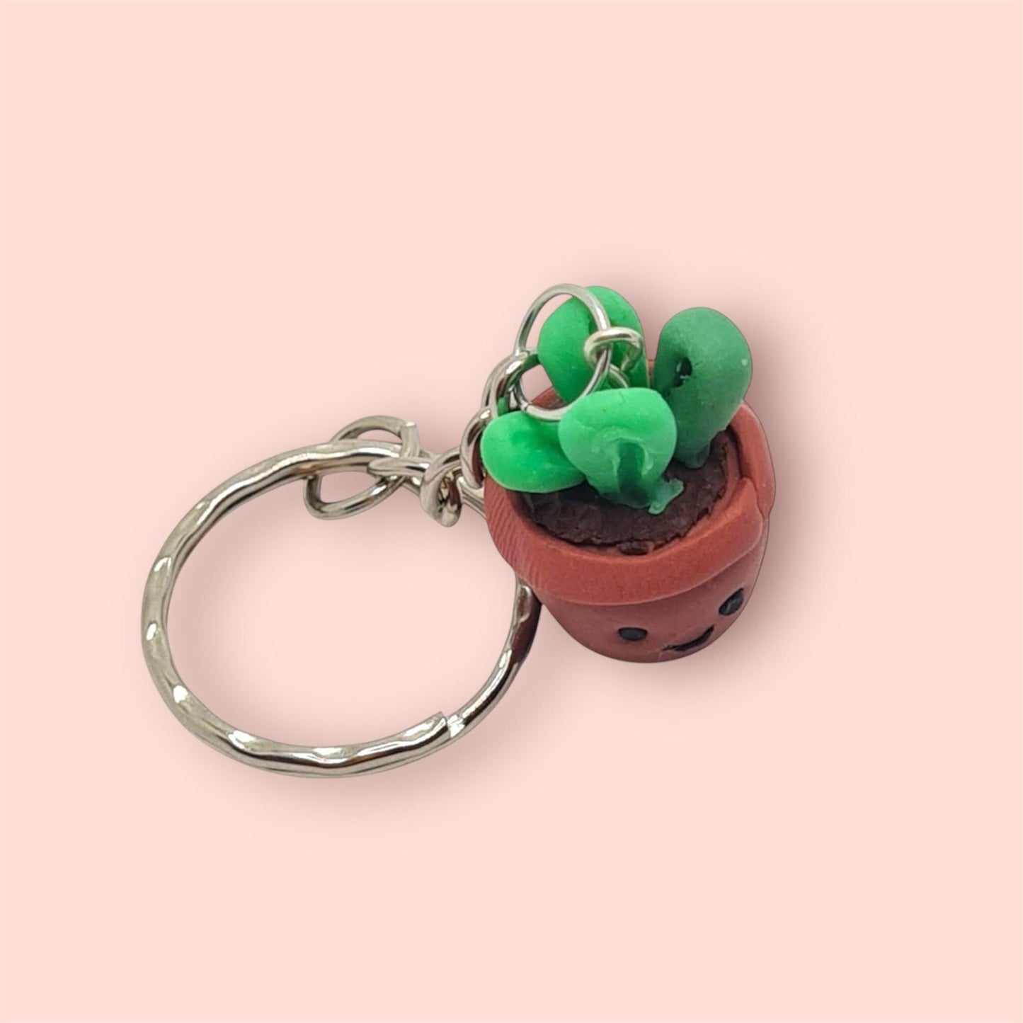 Keychain with a small potted plant design on a pink background
