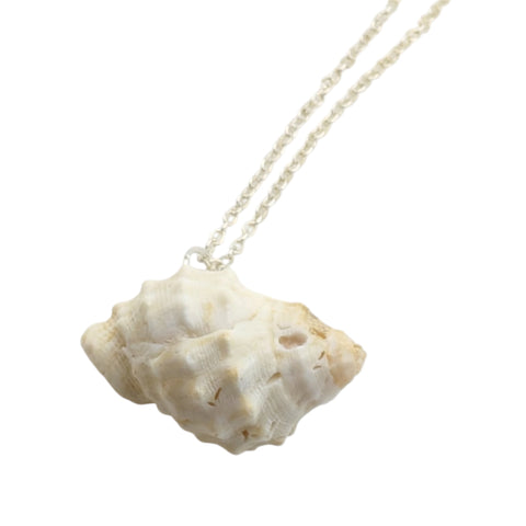 Raw white shell pendant necklace on silver-plated chain against white background