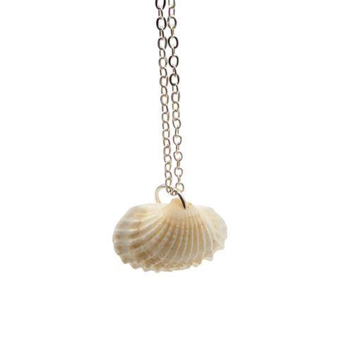 Shell pendant hanging on a chain against a white background