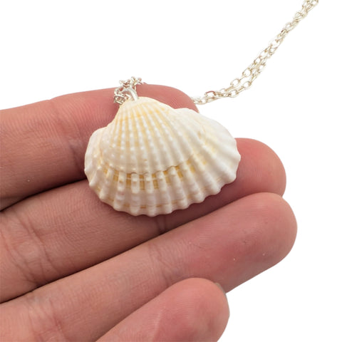 Shell pendant on a chain held between fingers against a white background