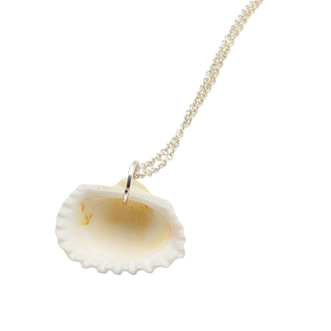 Inside of shell pendant on a gold silver against a white background